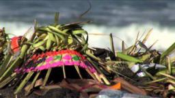Cancer to Capricorn: The Path of the Modern Gypsy - Bali - Chapter 6