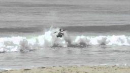 Totally Crustaceous Tour  KARRAMARRO FISH, Anglet
