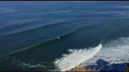Palos Verdes Indicator 1