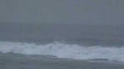 Rest Bay Surfing Movie