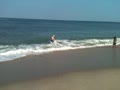 Skimboarding