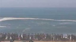 The Wedge Swell