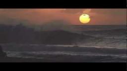James Woods Hawaii