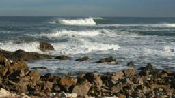 TrilobitePro: La Vaca Big Wave Contest