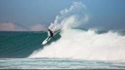 Torrey Meister | Chapter 5 | Las Palmeras