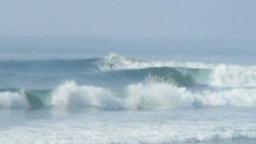 Salina Cruz Surf Camp & Surf Tours 1