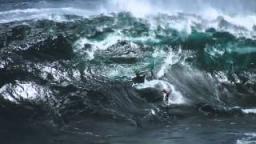 2012 Billabong XXL Big Wave Awards Winner Highlights