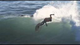 Volcom's VQS Goldfish Surf Series - Pismo Pier