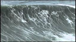 Jaws - Ride Of The Year Entry XXL