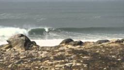 Livin It - Waves, Barrels And Fun!