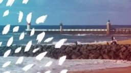 2016 ROXY PRO FRANCE Trailer