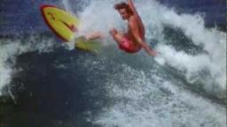 Quiksilver Scallop Boardshorts