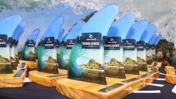 Rip Curl Guarujaense De Surf 2016 -  1ª Etapa, Pitangueiras