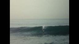 Salina Cruz Surf Camp & Surf Tours 4