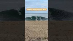 Sage Burke Back at The Wedge