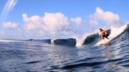 Reef Imaginarium