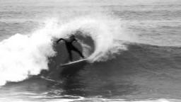 Colt Ward Freesurf