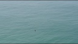 Perspective I Mick Fanning Solo Session Somewhere In Peniche