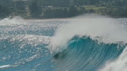 Honolua Bay: Show-Stealer
