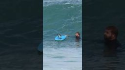 When You’re A Penguin, The Surf’s ALWAYS Up! Fuzzy Little Friend Booging Off Cape Town, SA.
