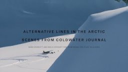 Alternative Lines In The Arctic | Scenes From Coldwater Journal
