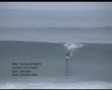 Capreton Barrels