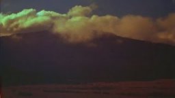 The Unlikely Tasmanian