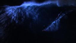 Jaws at Night