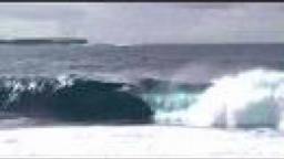 Bra Boys Surf OURS 