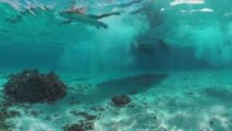 Under Tahiti In 360