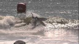 Quiksilver Pro New York Round 4 & 5 Highlights