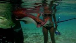 Rip Curl Coral Guard Episode 4 Swimming With Sharks