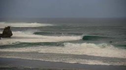 Indo Opens Up - July 2020