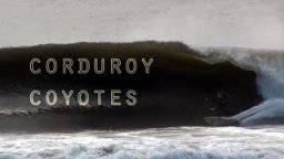 [Corduroy Coyotes] NJ SURF