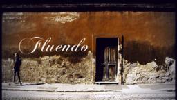 FLUENDO