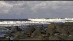Angourie Point