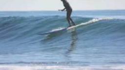 Endless Summer