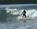 Surf in Sorake Nias Island