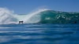 Lots of Barrels