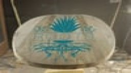 ROOTS: The Agave Surfboard Build
