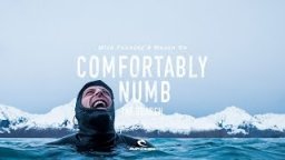 Comfortably Numb Teaser | #TheSearch By Rip Curl