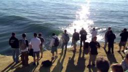 O'Neill Coldwater Classic 2012 - Day 4 - Highlights