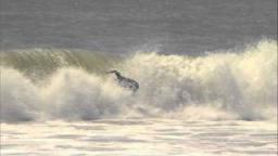 Top Wave Kelly Slater 9.37