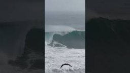 Today Was MASSIVE In Chile. 