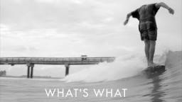 What's What - Longboard In Florida