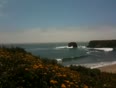 Big Sur Inside speed trains