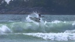 2016 Rip Curl Pro Tofino - Official Teaser