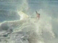 Wollongong Wipeouts