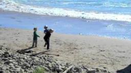 VQS Butterfish Surf Series - Ventura, Ca