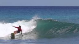 GromSearch Kewalos Honolulu, HI Highlights